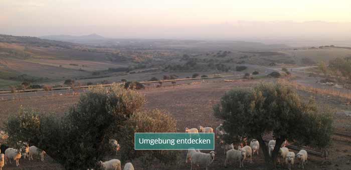 Casa-Mia-Start-Umgebung-Landscape-hover