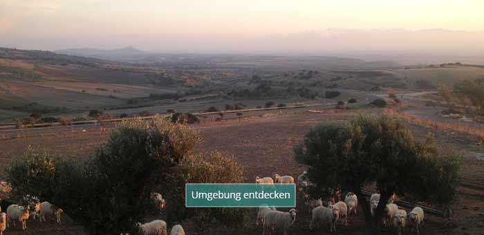 Casa-Mia-Start-Umgebung-Landscape